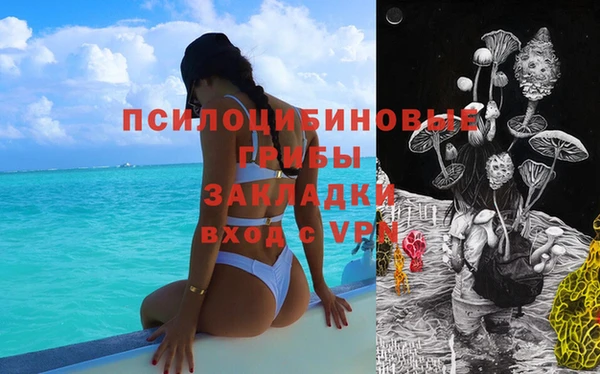 стаф Беломорск