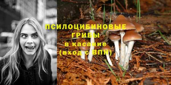 ALPHA-PVP Белокуриха